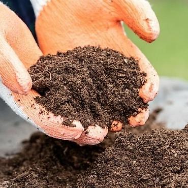 Şitillər: "250L Torf ✔ Perlitli ✔ Ev Bitkiləri üçün ideal ✔ Çatdırılma "250L — 19