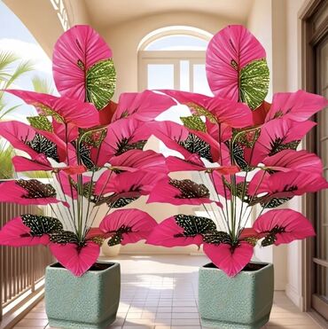 Süni güllər: 🌸 İstədiyiniz dibçəyi, istədiyiniz ölçüdə yığırıq! 🏡 Evlər, ofislər -da lalafo.az — 16 Süni güllər: 🌸 İstədiyiniz dibçəyi, istədiyiniz ölçüdə yığırıq! 🏡 Evlər, ofislər — 16