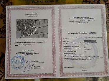 cıxarış nədir: 3 sot, Kənd təsərrüfatı, Kupça (Çıxarış) — 4