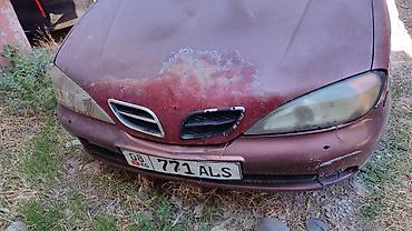 maxima j30: Nissan Primera: 2002 г., 1.6 л, Механика, Бензин, Седан — 2