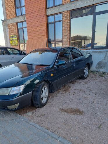 шипованные шины: Toyota Camry: 1997 г., 2.5 л, Автомат, Бензин, Седан