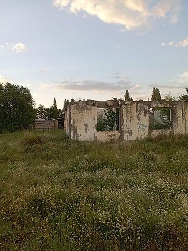 полки в аренду: 6 соток, Для строительства — 1