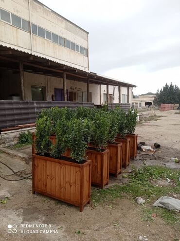 Bitkilər üçün dibçəklər: Bir başa sexdən.Sex qiymətinə ♦️Endrim. ▶️İstenilən modeldə dipçəklər -da lalafo.az — 9 Bitkilər üçün dibçəklər: Bir başa sexdən.Sex qiymətinə ♦️Endrim. ▶️İstenilən modeldə dipçəklər — 9