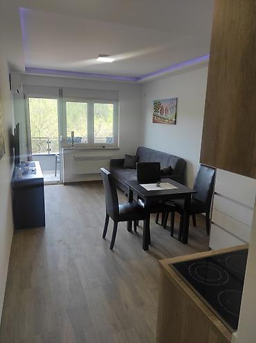 Stan na dan:  Cera premium apartment je vaša oaza luksuza u samom srcu Sokobanje — 3