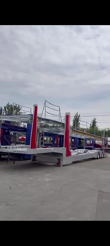 carrier: Прицеп, Сar carrier trailer, от 12 т, Новый — 3