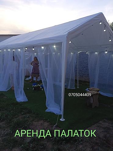 Сдаю палатки шатры тент на прокат Шатер палатка палата, юрта at lalafo.kg Сдаю палатки шатры тент на прокат Шатер палатка палата, юрта