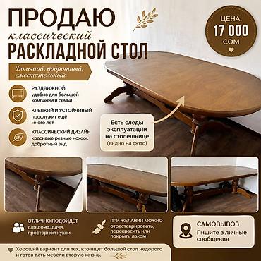 stol: Стол для зала, Б/у, Складная, Овальная — 1