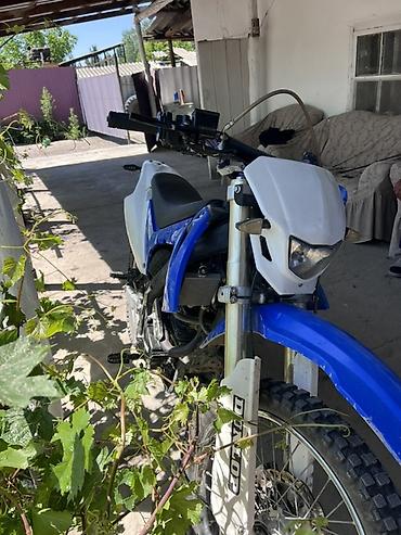 Мотоциклы: Эндуро Yamaha, 250 куб. см, Бензин, Взрослый, Б/у — 5