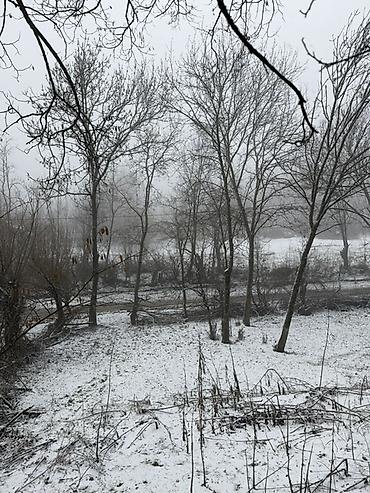 Torpaq sahələrinin satışı: 20 sot, Tikinti, Barter mümkündür, Kupça (Çıxarış) — 3