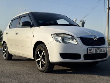 Skoda: Skoda Fabia: 2009 г., 1.2 л, Механика, Бензин, Универсал