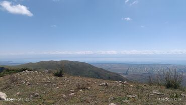 купить двигатель на мотоблок 7 л с: BMW 5 series: 2002 г., 3 л, Механика, Бензин, Седан