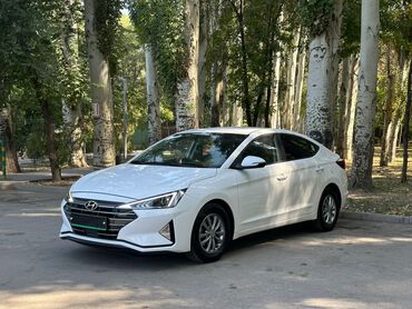 домкрат авто: Hyundai Avante: 2019 г., 1.6 л, Автомат, Бензин, Седан