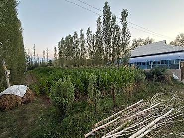 3 room flat: 8 соток, Для сельского хозяйства — 4