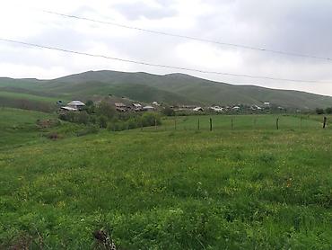 bakıda ev kirayə verilir: 3 otaqlı, 100 kv. m, Orta təmir — 4