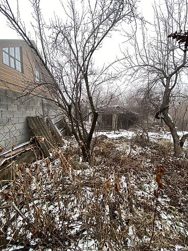 Продажа участков: 9 соток, Красная книга at lalafo.kg — 25 Продажа участков: 9 соток, Красная книга — 25