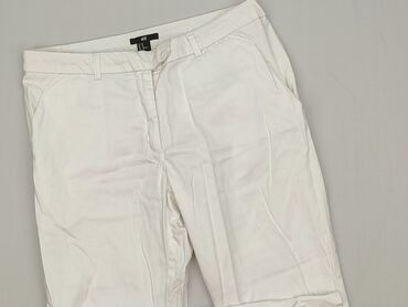 H&M, Women`s trousers, size L (EU 40)