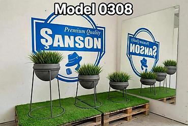 dibçek gulleri: 🌿 ŞANSON | DEKORATİV DİBÇƏKLƏR Evinizə və həyətinizə xüsusi gözəllik — 5
