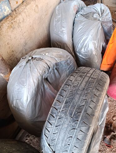 шипы для шин: Шины 215 / 60 / R 16, 1 шт, Легковые, Toyo