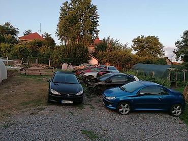 pedale: CELI AUTOMOBIL U DELOVIMA ZA PEUGEOT 206 | Delovi Peugeot 206 i — 2