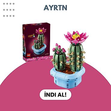 ev iwi: LEGO Botanicals – Flowering Cactus dəsti - Mövzu: Botanicals — 1