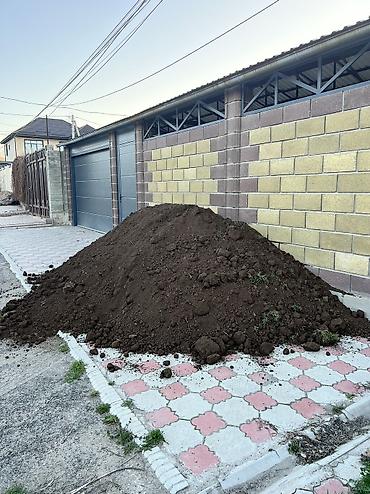 Грунт, чернозем: Чернозем чернозем чернозем чернозем чернозем чернозем чернозем — 2