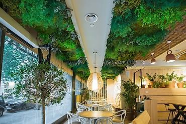 Başqa xidmətlər: Green House Azerbaijan. Dekor interyer Kafe×restoranlar üçün — 15