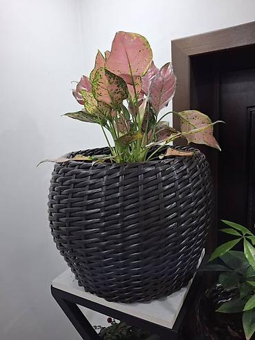 Горшки для растений: Плетёные кашпо для растений - Материал: синтетический ротанг — 13