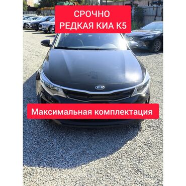 форсунки киа: Kia K5: 2023 г., 2 л, Автомат, Бензин, Седан