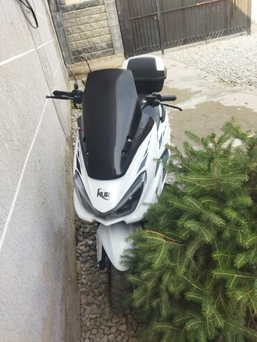 дом долгосрочная аренда: Продаю макси скутер или меняю на айфон 14про мах цена 35тыс сом все
