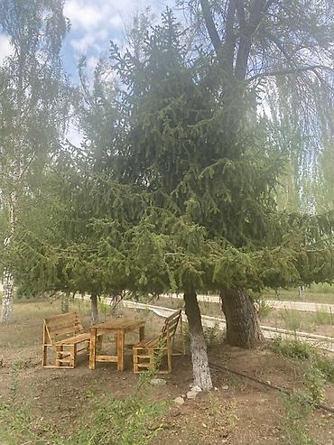 Палатки и домики: Эко-домики в лесу с удобствами - Компактные деревянные домики в — 20