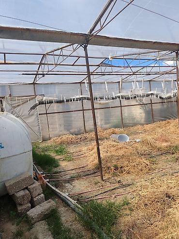 Bağ evi və bağ üçün hər şey: 17 sotluq parnik ləvazimatları satılır – tam komplekt Tərkib: - — 6