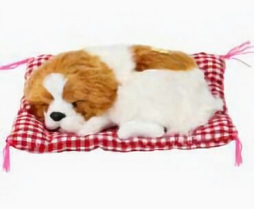 Oyuncaqlar: Shekilleri cevirin Oyuncaq coxdu Dovshan kuklası satilir tezedi 43 sm -da lalafo.az — 7 Oyuncaqlar: Shekilleri cevirin Oyuncaq coxdu Dovshan kuklası satilir tezedi 43 sm — 7