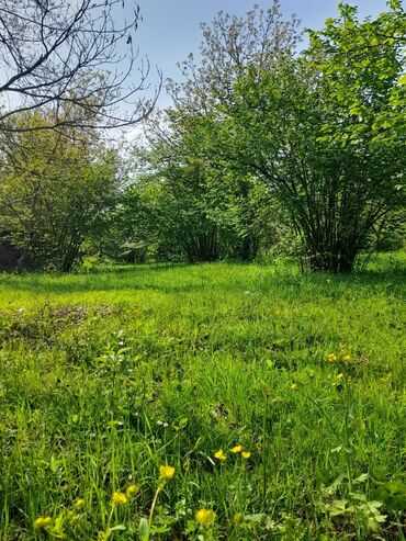 Torpaq sahələrinin satışı: 30 sot, Kənd təsərrüfatı, Mülkiyyətçi, Kupça (Çıxarış) -da lalafo.az — 4 Torpaq sahələrinin satışı: 30 sot, Kənd təsərrüfatı, Mülkiyyətçi, Kupça (Çıxarış) — 4