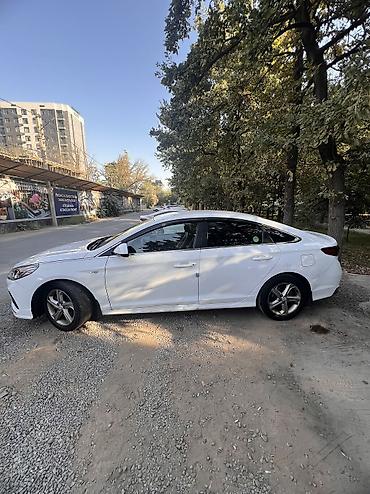 нью райс: Hyundai Sonata: 2020 г., 2 л, Автомат, Газ, Седан — 3