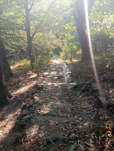 Uzunmüddətli kirayə evlər: 3000 kv. m, 3 otaqlı -da lalafo.az — 9 Uzunmüddətli kirayə evlər: 3000 kv. m, 3 otaqlı — 9