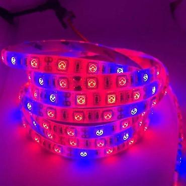 retro luster: GROW LED TRAKA ZA RAST BILJAKA 3:1 5050 DIODE 12V | *Brojni — 1