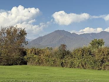 Torpaq sahələrinin satışı: 23 sot, Tikinti, Kupça (Çıxarış) — 23