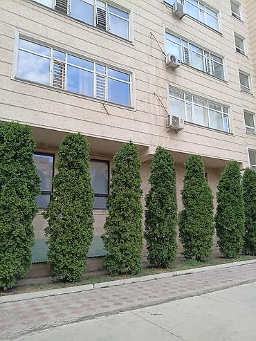 ещё квартиру: 4 комнаты, 110 м², Элитка, 7 этаж, Евроремонт — 8