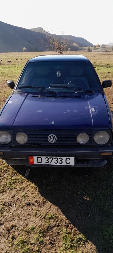 Volkswagen: Volkswagen Golf: 1991 г., 1.8 л, Механика, Бензин, Хэтчбэк