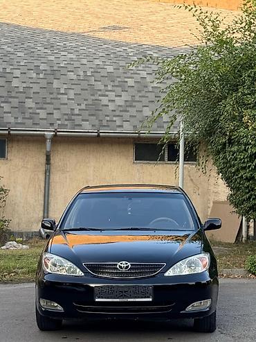 тоуота камри 55: Toyota Camry: 2002 г., 2.4 л, Автомат, Газ, Седан — 6