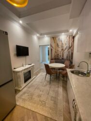 долгосрочная аренда 1 комнатной квартиры: 2 бөлмө, Менчик ээси, Чогуу жашоосу жок, Толугу менен эмереги бар