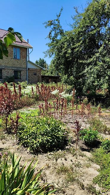 old бишкек: Продаётся частный дом с. Ленинское подъезд к дому с. Алма-Атинской — 8