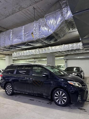 Toyota: Toyota Sienna: 2019 г. — 6