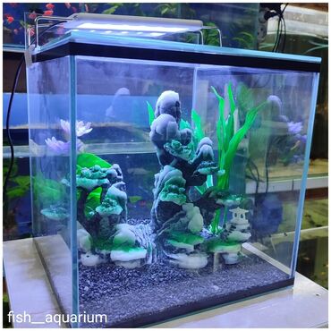 Аквариумы: Новый аквариум объём 15 л со стеклянной крышкой. В качестве подарка
