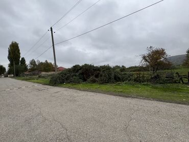 Torpaq sahələrinin satışı: 43 sot, Kənd təsərrüfatı, Mülkiyyətçi, Kupça (Çıxarış) — 12