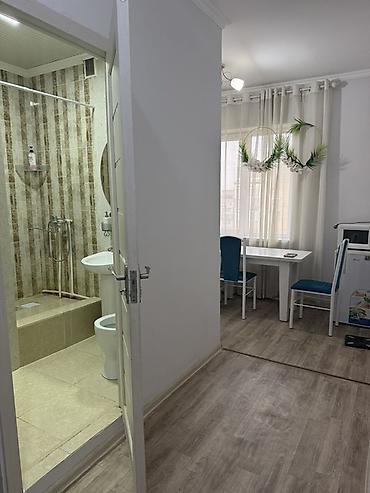 Студия, Без подселения, С мебелью полностью