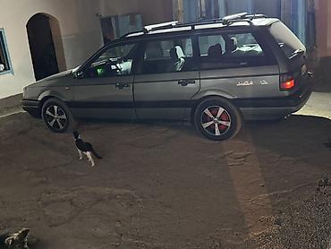 gac aion lx plus: Volkswagen Passat: 1993 г., Универсал — 10