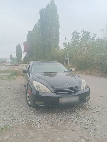 винда: Toyota Windom: 2002 г., 3 л, Автомат, Бензин, Седан