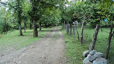Torpaq sahələrinin satışı: 17 sot, Tikinti, Mülkiyyətçi, Kupça (Çıxarış) — 4