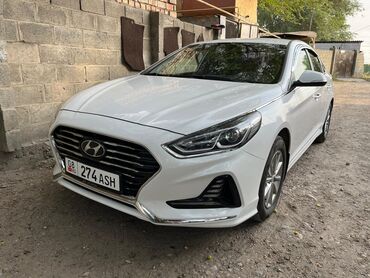 решетка на виндом: Hyundai Sonata: 2019 г., 2 л, Автоматические, Газ, Седан